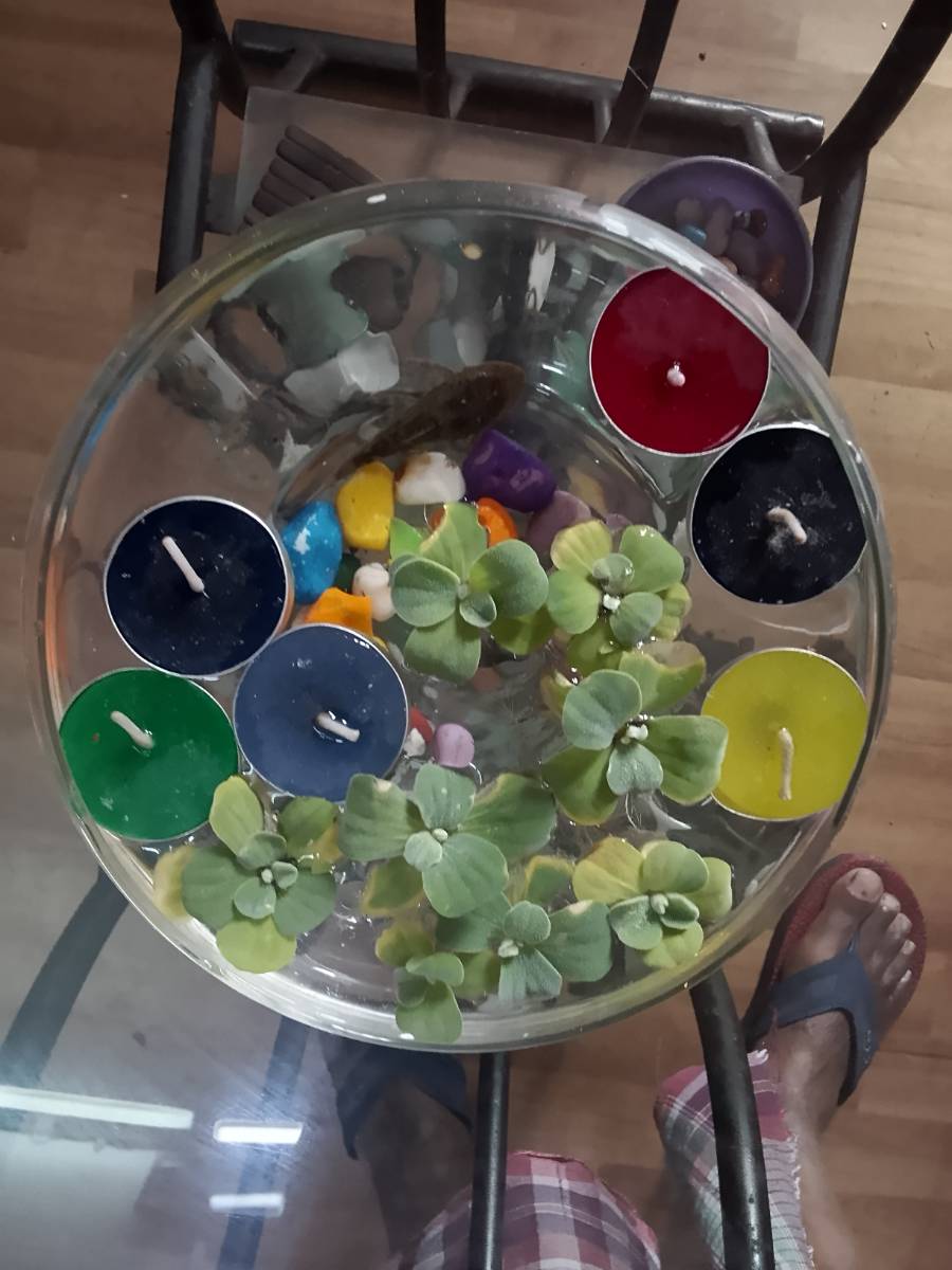 BADAL AQUARIUM HOUSE