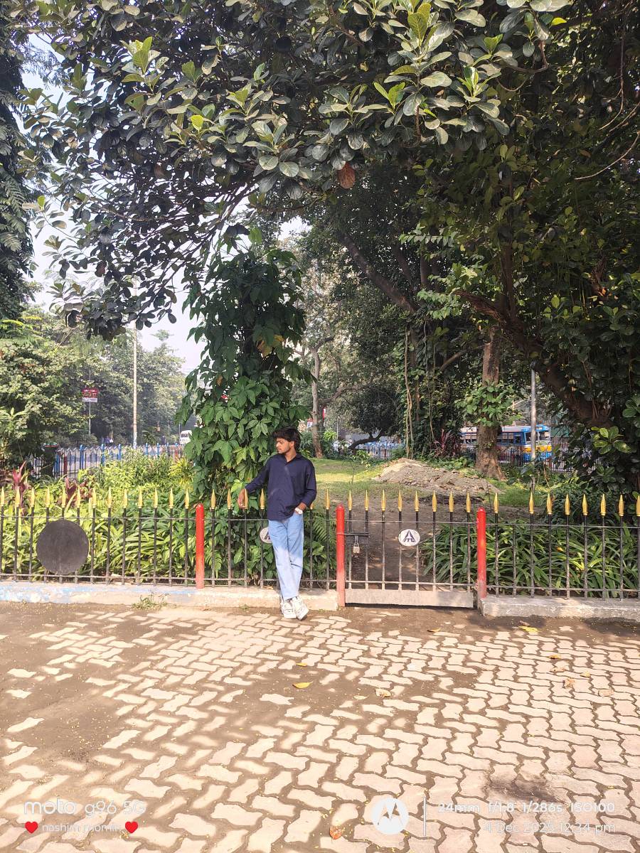 Sani Mango 🥭 Marchant