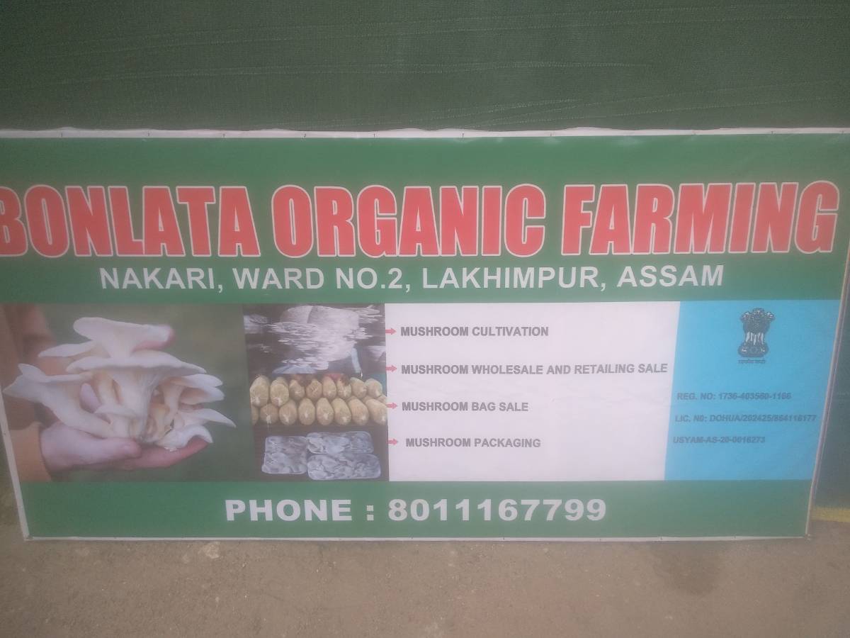 Bonlata organic farming
