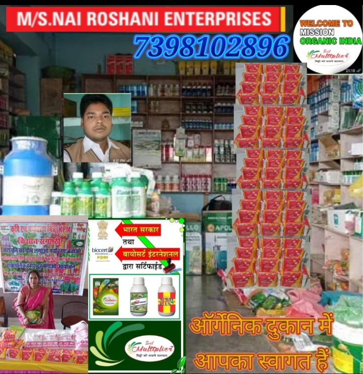 Nai Roshani anion pad 